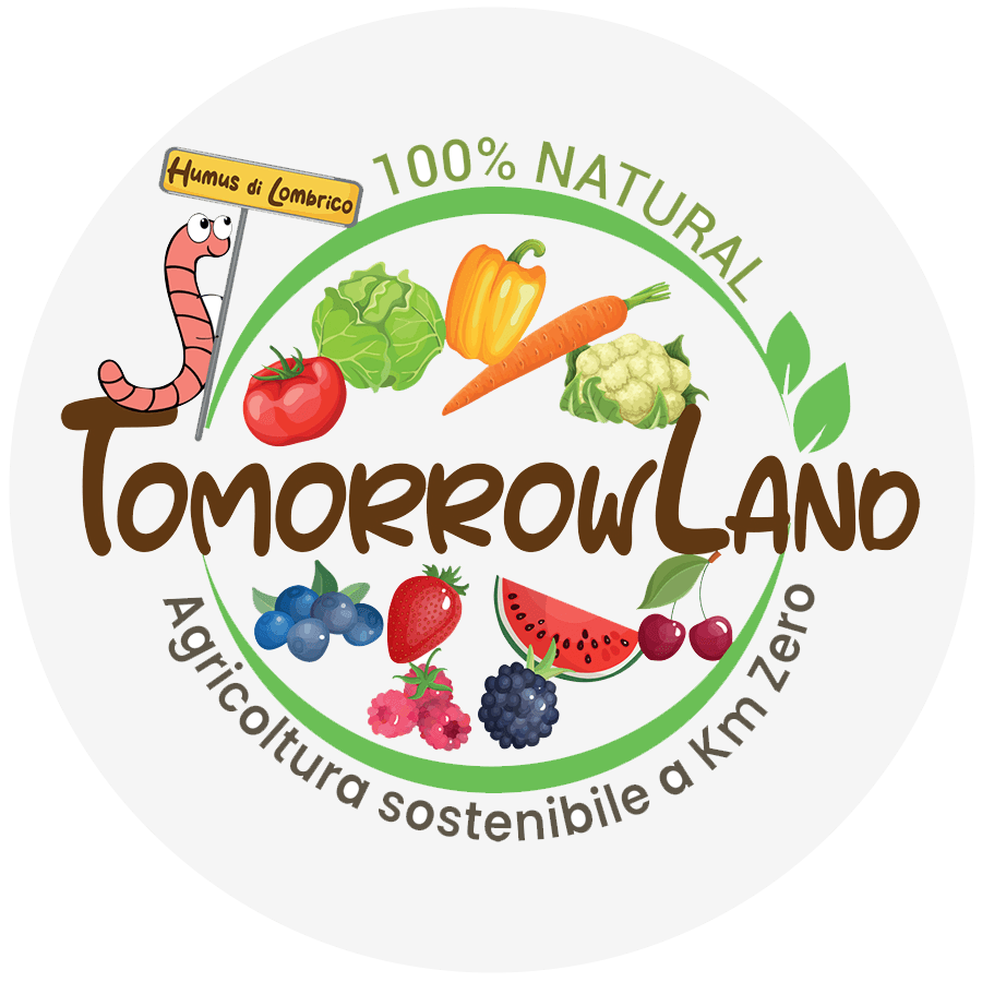 Tomorrowland di Moira Rota